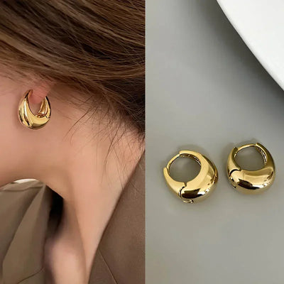 Chunky Stainless Steel Hoop Earrings